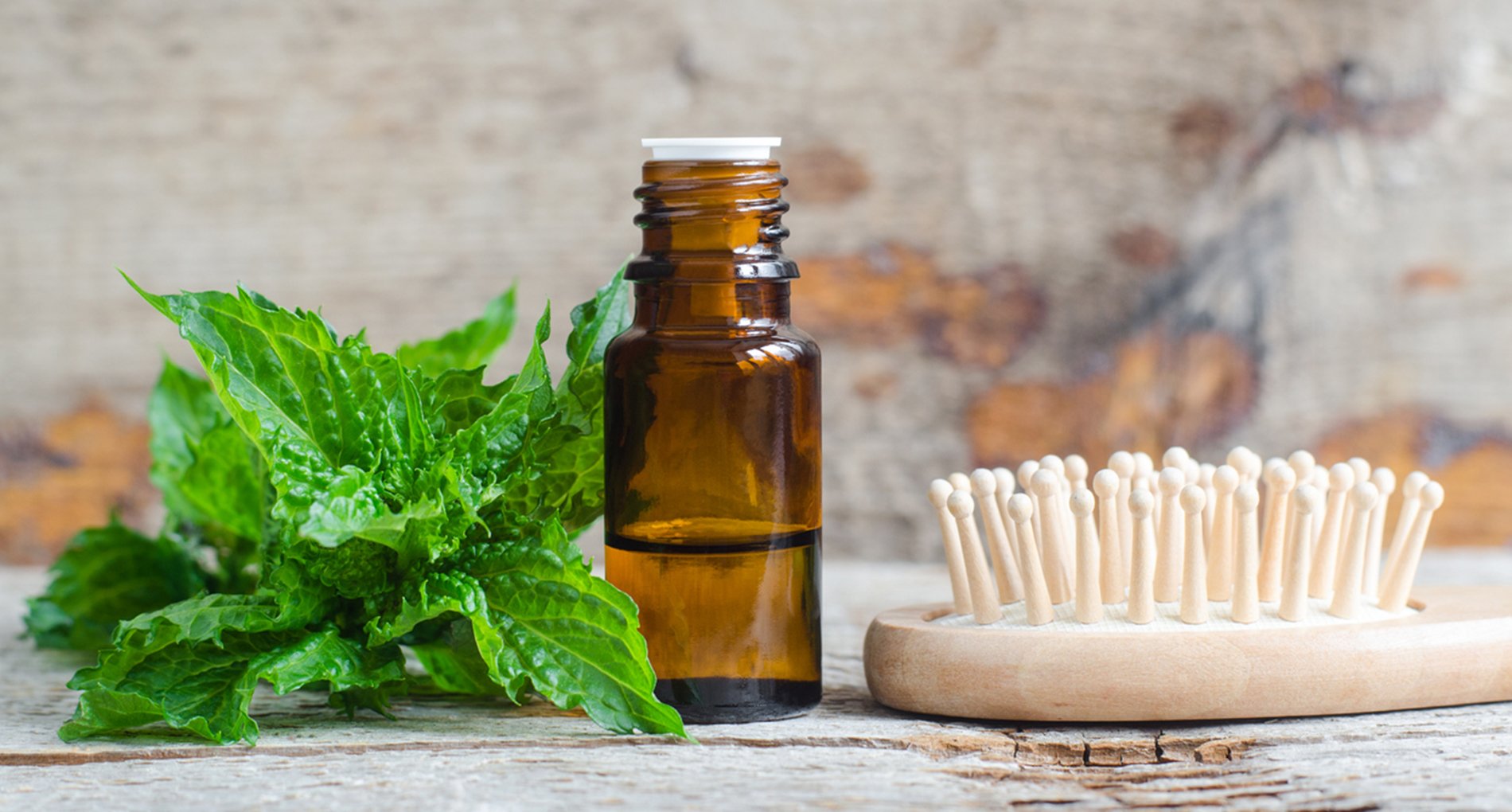 Conseils beaut&eacute; soins cheveux